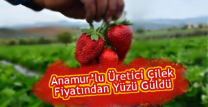 çilek.fw