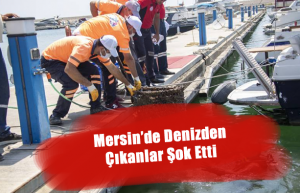 deniz.fw