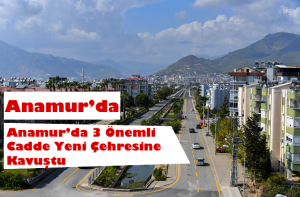anamur.fw