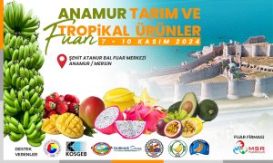 anamur basın